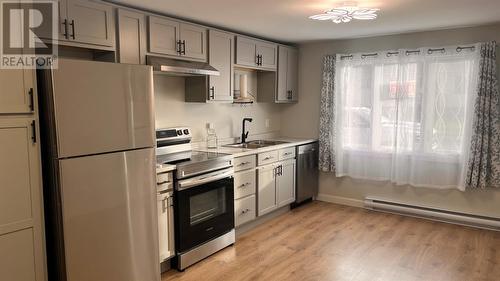 33 Meadowbrook Drive, St. John'S, NL - Indoor Photo Showing Kitchen With Double Sink