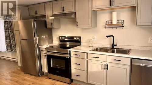 33 Meadowbrook Drive, St. John'S, NL - Indoor Photo Showing Kitchen With Double Sink