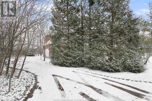 21429 Lynn Road, Wheatley, ON - Outdoor