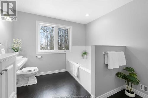 21429 Lynn Road, Wheatley, ON - Indoor Photo Showing Bathroom