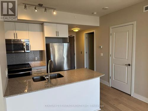 1009 - 485 Richmond Road, Ottawa, ON - Indoor Photo Showing Kitchen With Double Sink