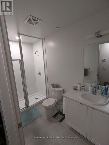 110 - 58 Sky Harbour Drive, Brampton, ON - Indoor Photo Showing Bathroom