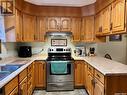 108 3120 Louise Street, Saskatoon, SK  - Indoor Photo Showing Kitchen With Double Sink 