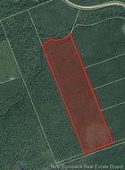Lot Emerson (BACK) RD  Beersville, NB E4T 2M5