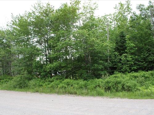 Lot Crandall Road, Port Hawkesbury, NS 