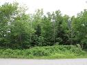 Lot Crandall Road, Port Hawkesbury, NS 