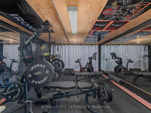 442 Main St, King, ON - Indoor Photo Showing Gym Room