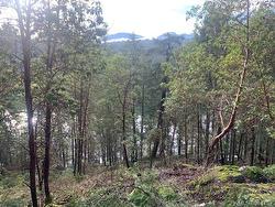 409 Pilkey Point Rd  Thetis Island, BC V0R 2Y0
