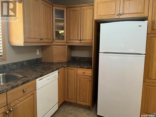 202 1225 Stockton Street N, Regina, SK - Indoor Photo Showing Kitchen With Double Sink