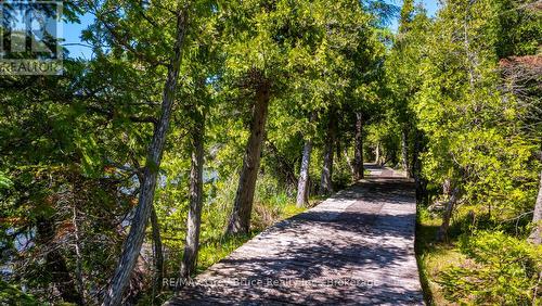 Lot 5 Trillium Crossing, Northern Bruce Peninsula, ON 