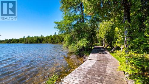 Lot 5 Trillium Crossing, Northern Bruce Peninsula, ON 