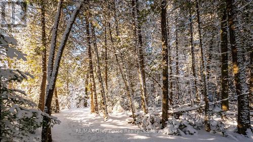 Lot 5 Trillium Crossing, Northern Bruce Peninsula, ON 