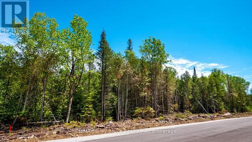 Lot 5 Trillium Crossing, Northern Bruce Peninsula, ON 