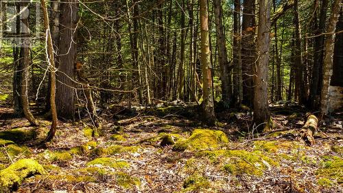 Lot 5 Trillium Crossing, Northern Bruce Peninsula, ON 