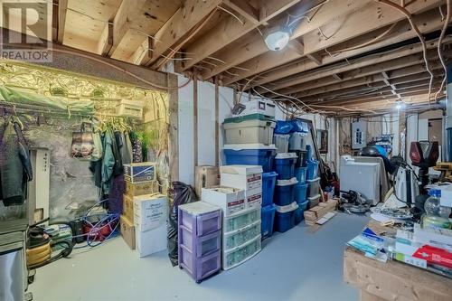 20 Meadow Road, Paradise, NL - Indoor Photo Showing Basement