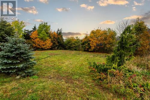 20 Meadow Road, Paradise, NL - Outdoor With View