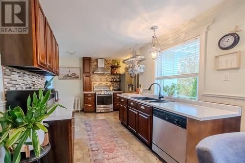 20 Meadow Road, Paradise, NL - Indoor Photo Showing Kitchen With Double Sink