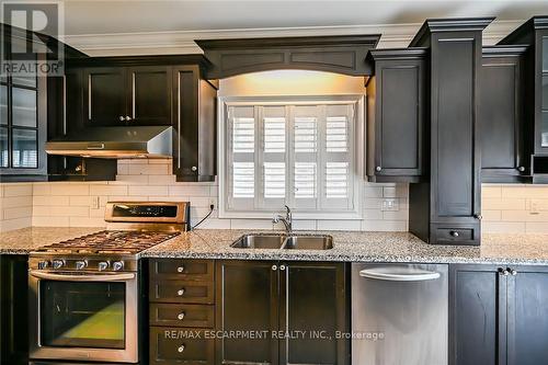 143 Davinci Boulevard, Hamilton, ON - Indoor Photo Showing Kitchen With Double Sink With Upgraded Kitchen