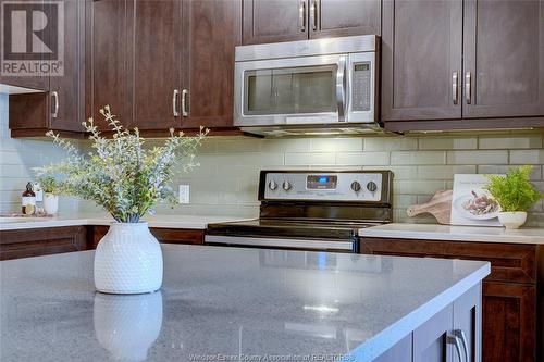 8475 Wyandotte East Unit# 111, Windsor, ON - Indoor Photo Showing Kitchen