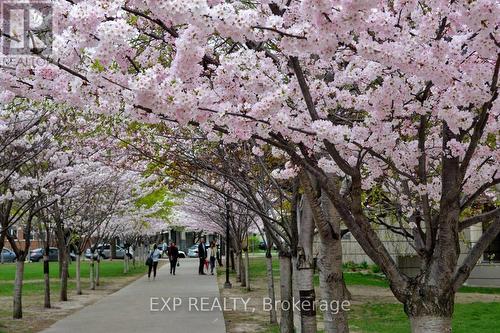 326 - 1830 Bloor Street W, Toronto (High Park North), ON - Outdoor