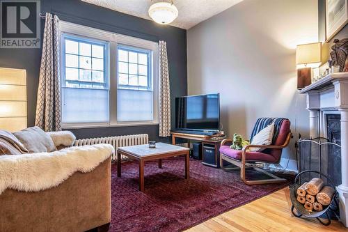 56 Fleming Street, St. John'S, NL - Indoor Photo Showing Living Room