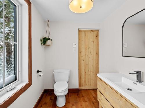 Powder room - 3902 Ch. Paiement, Sainte-Agathe-Des-Monts, QC - Indoor Photo Showing Bathroom