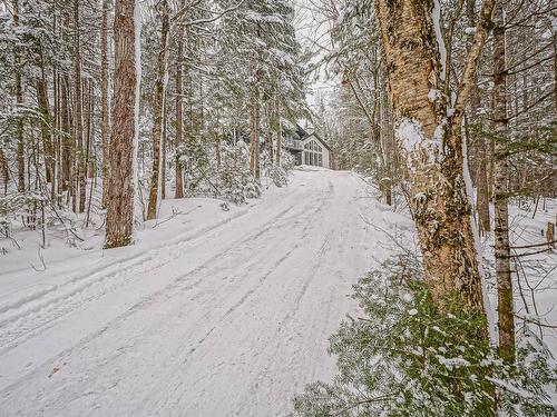 Exterior entrance - 3902 Ch. Paiement, Sainte-Agathe-Des-Monts, QC - Outdoor