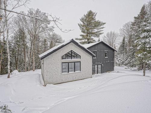 Back facade - 3902 Ch. Paiement, Sainte-Agathe-Des-Monts, QC - Outdoor