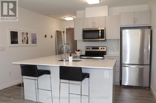 308 - 479 Charlton Avenue E, Hamilton, ON - Indoor Photo Showing Kitchen With Upgraded Kitchen