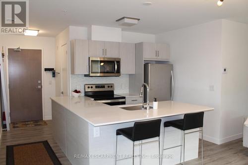 308 - 479 Charlton Avenue E, Hamilton, ON - Indoor Photo Showing Kitchen With Upgraded Kitchen