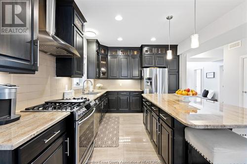 6268 Disputed, Lasalle, ON - Indoor Photo Showing Kitchen With Upgraded Kitchen