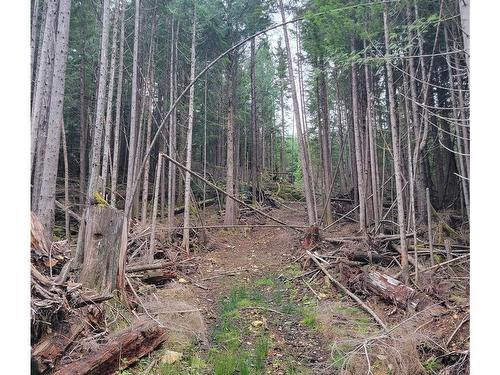 Lot 5 Discovery Passage (Off) Rd, Campbell River, BC 