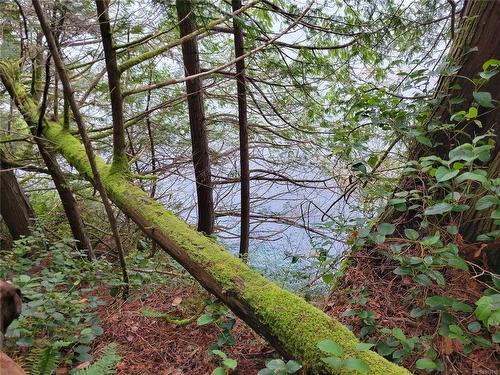 Lot 5 Discovery Passage (Off) Rd, Campbell River, BC 