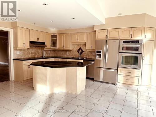 139 Elgin Drive, Brampton, ON - Indoor Photo Showing Kitchen With Stainless Steel Kitchen