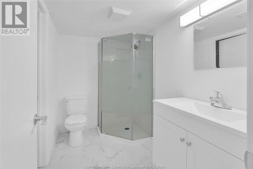 1510 Langlois, Windsor, ON - Indoor Photo Showing Bathroom