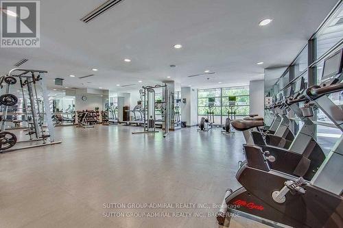 316 - 399 Adelaide Street W, Toronto, ON - Indoor Photo Showing Gym Room