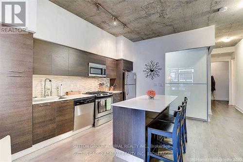 316 - 399 Adelaide Street W, Toronto, ON - Indoor Photo Showing Kitchen With Upgraded Kitchen