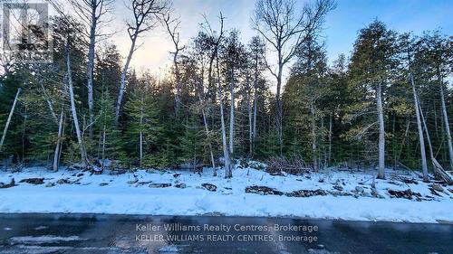 Lot 13 Trillium Crossing, Northern Bruce Peninsula, ON 