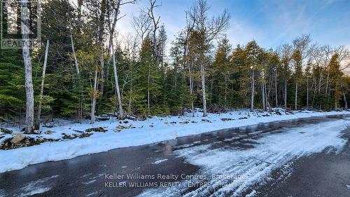 Lot 13 Trillium Crossing, Northern Bruce Peninsula, ON 