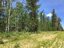Prime Acreage Parcel 3.13 Acres, Nipawin Rm No. 487, SK 
