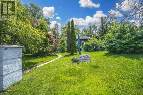 3071 Mosley Street, Wasaga Beach, ON - Outdoor