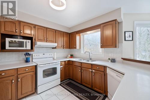 55 Piedmont Crescent, London, ON - Indoor Photo Showing Kitchen With Double Sink