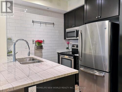 201 - 85 Robinson Street, Hamilton, ON - Indoor Photo Showing Kitchen With Double Sink