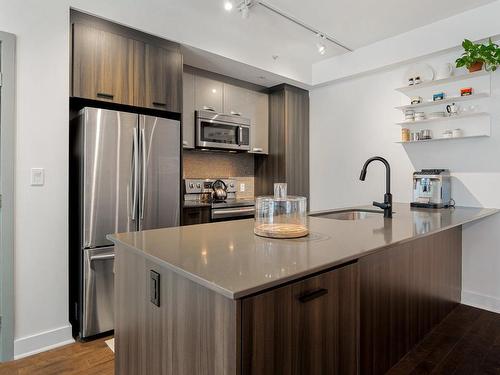 Kitchen - 406-5000 Boul. De L'Assomption, Montréal (Rosemont/La Petite-Patrie), QC - Indoor Photo Showing Kitchen With Upgraded Kitchen