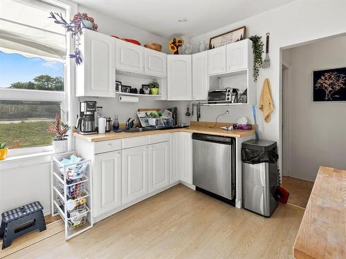 909 Mcmillan Avenue, Winnipeg, MB - Indoor Photo Showing Kitchen With Double Sink