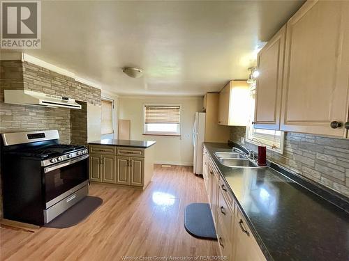 166 Sydenham, Dresden, ON - Indoor Photo Showing Kitchen With Double Sink