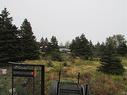 16 Old Road Extension, Colliers, NL 