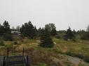 16 Old Road Extension, Colliers, NL 