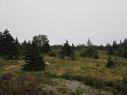 16 Old Road Extension, Colliers, NL 