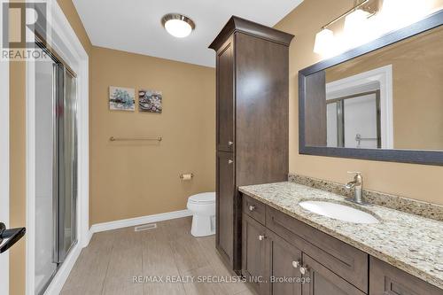 384 Boismier Avenue, Lasalle, ON - Indoor Photo Showing Bathroom